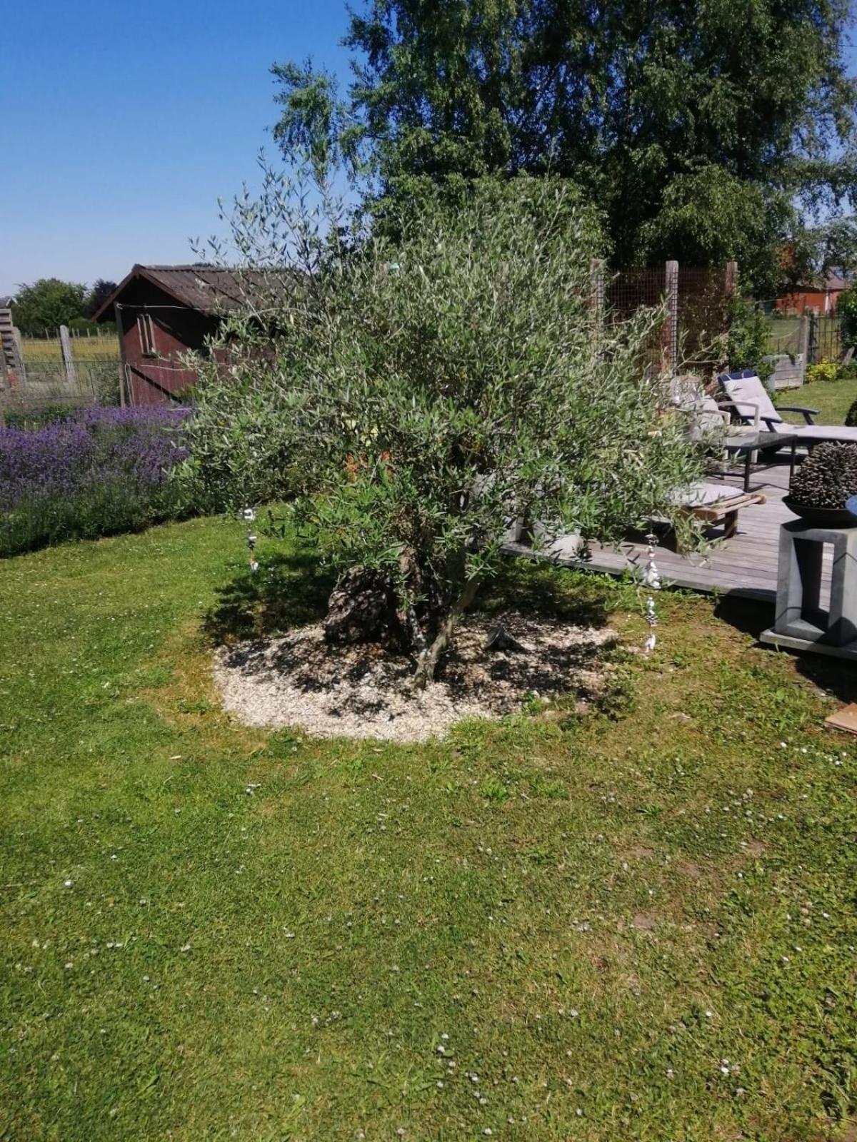 ホテル On Dirait Le Sud Chievres エクステリア 写真